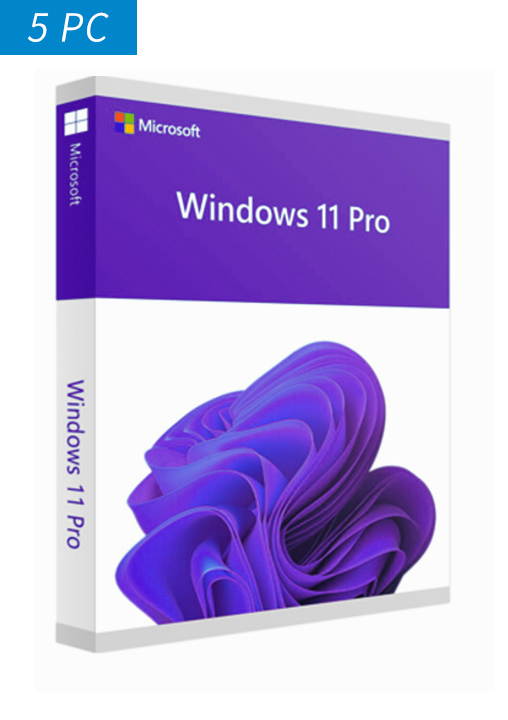 Windows 11 Pro--5PC